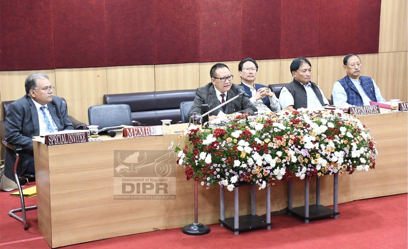 CONSULTATIVE MEETING ON NAGALAND MUNICIPAL (BILL) HELD