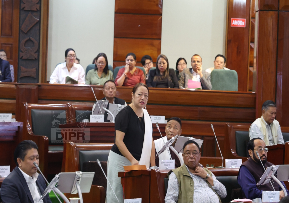 STARRED AND SUPPLEMENTARY QUESTIONS RAISED BY MEMBERS OF NLA