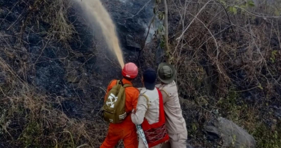 JUNGLE FIRE BROKE OUT AT NOKLAK VILLAGE