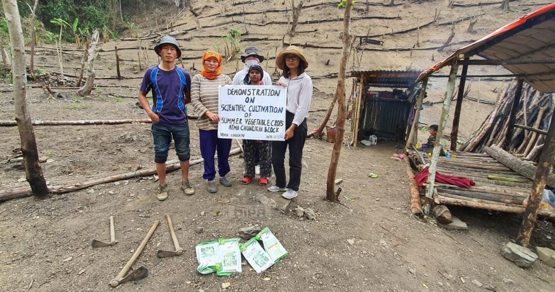 DEMONSTRATION OF SCIENTIFIC CULTIVATION OF GINGER