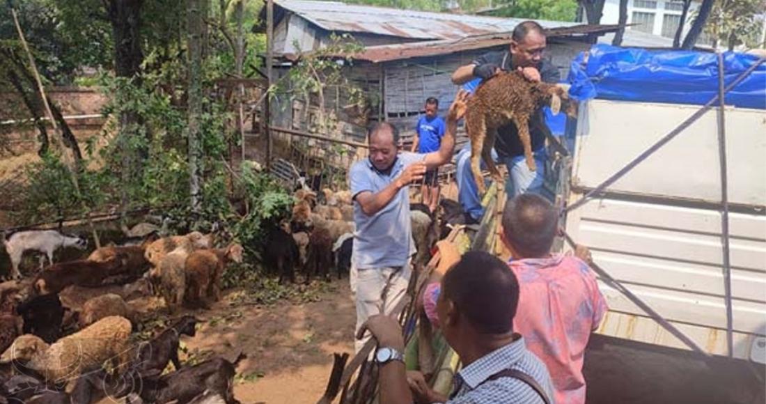 AH & VS DISTRIBUTES SHEEP AND GOATS UNDER NATIONAL LIVESTOCK MISSION