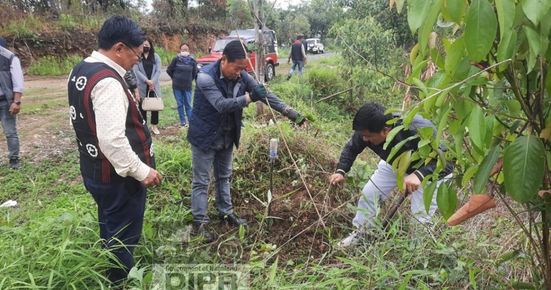 PUGHOBOTO TREE PLANTATION LAUNCHED