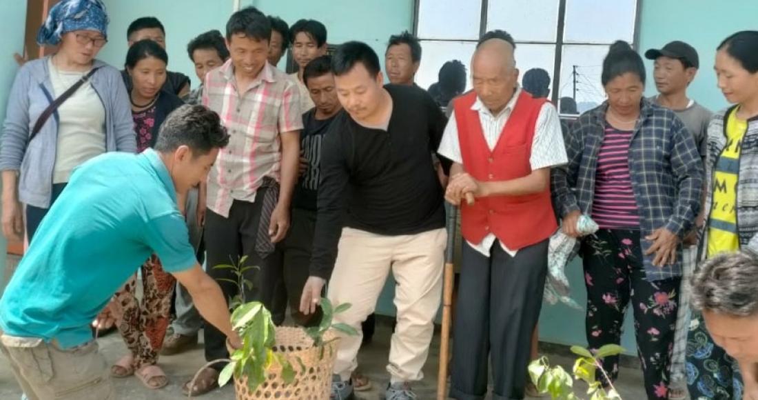 PLANTATION DRIVE AT KT AND ASÜKIQA BLOCK