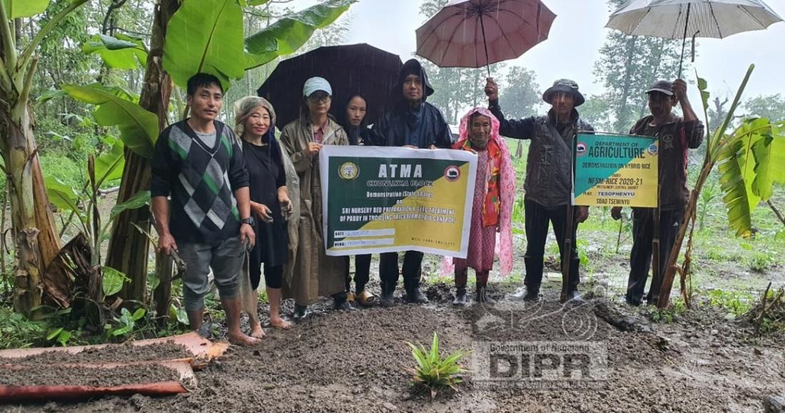  DEMONSTRATION ON SRI NURSERY BED PREPARATION AND PADDY SEED TREATMENT USING TRICHODERMA UNDER CHUNLIKHA BLOCK