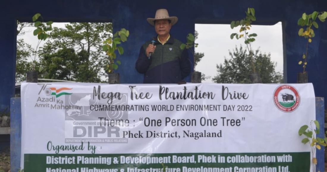 Tree plantation drive at Pfutsero: