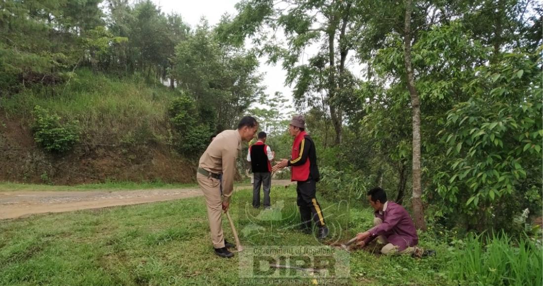 CHOZUBA ORGANISES MEGA TREE PLANTATION