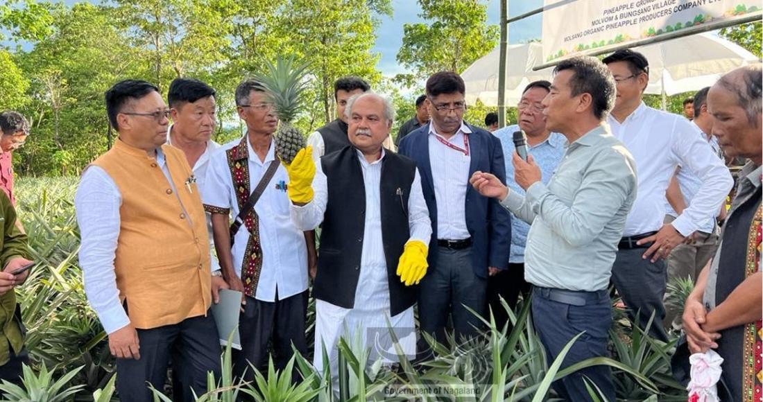 UNION AGRI MINISTER VISITS MOLVOM PINEAPPLE FARM