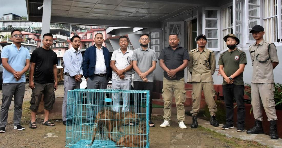 ADVISOR IPR DONATES WILD ANIMAL