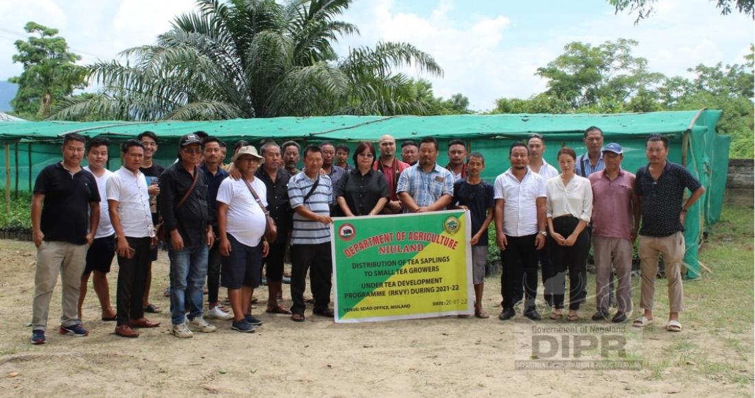 AGRI- DEPT DISTRIBUTE TEA SAPLINGS AT NIULAND