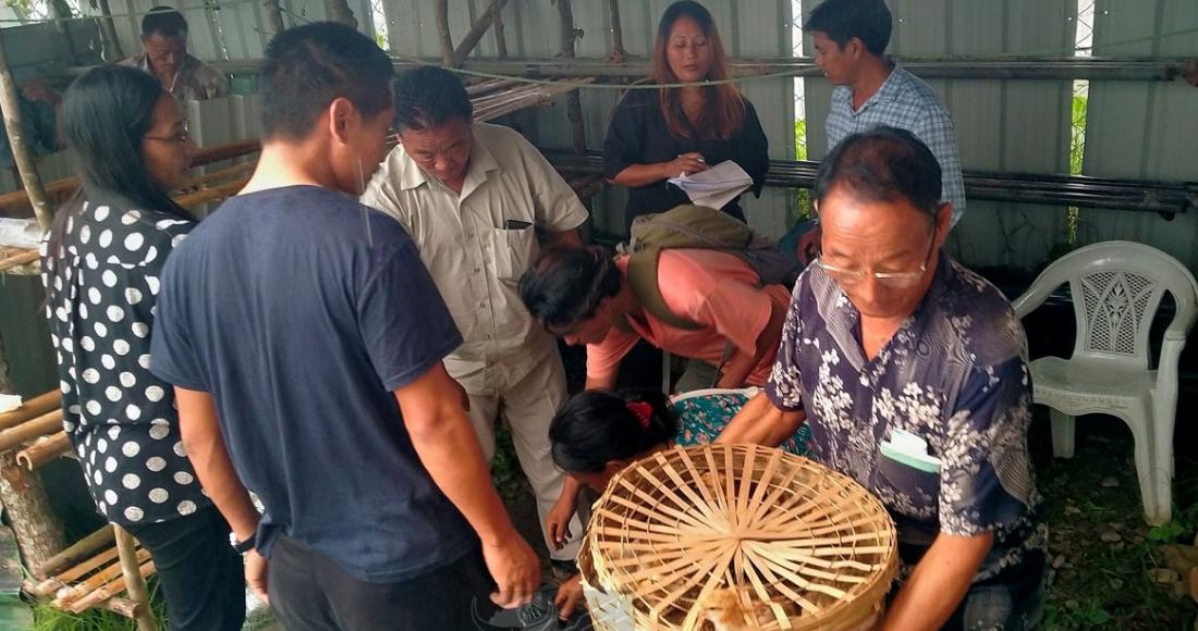 Distribution of kuroiler chicks and feeds on World Rabies Day at Peren