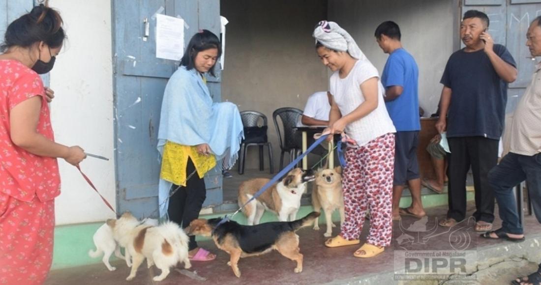 Mass Dog vaccination programme at Mokokchung