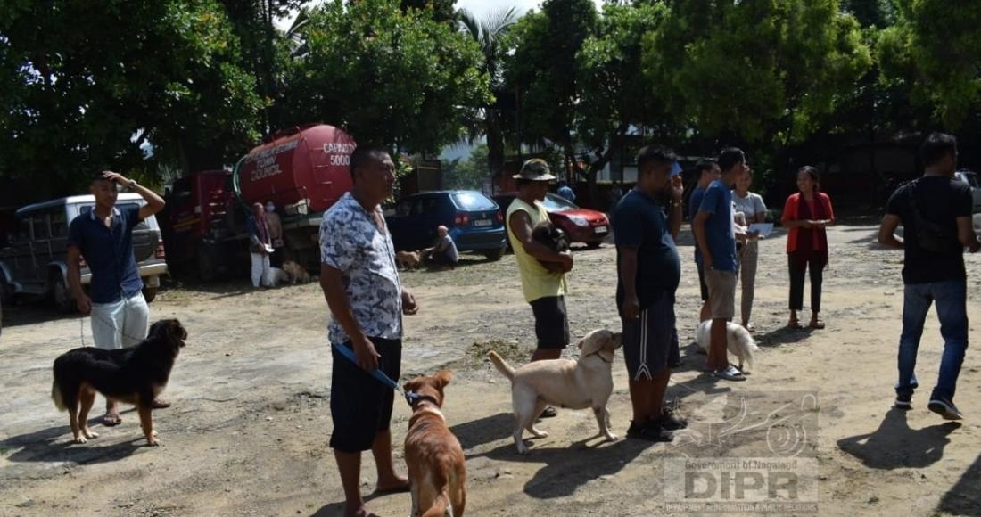 WORLD RABIES DAY OBSERVED AT CHUMOUKEDIMA