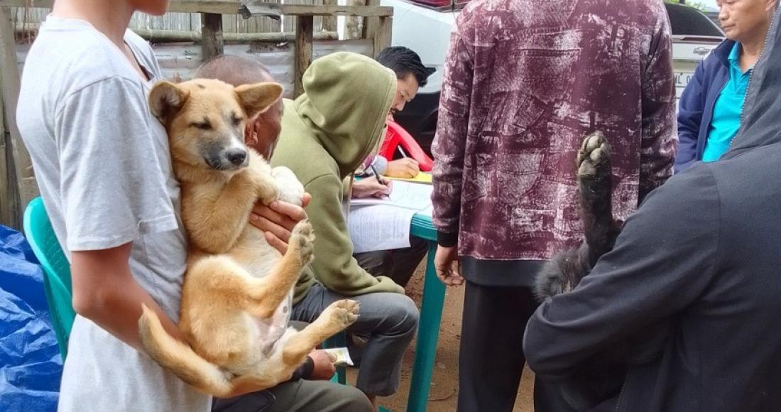 VACCINATION OF DOGS AT LONGLENG