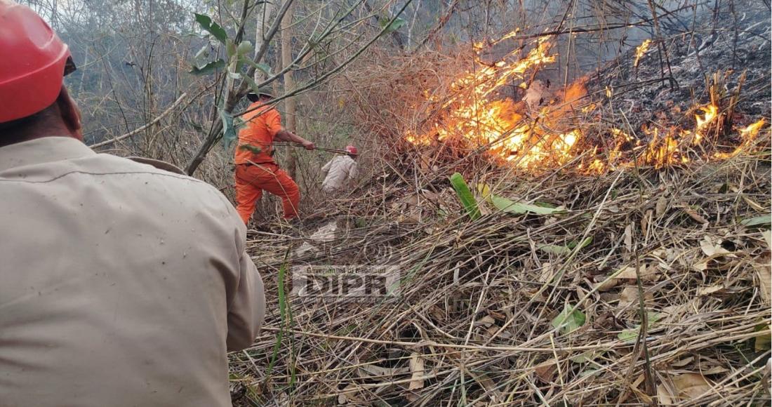 WILDFIRE OUTBREAK AT KIPHIRE