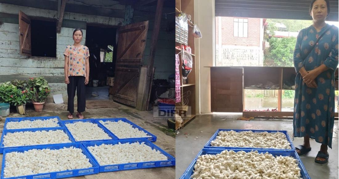 ERI SILKWORM FARMING BRINGS NEW LIVELIHOOD TO TWO WOMEN IN TUOPHEMA VILLAGE