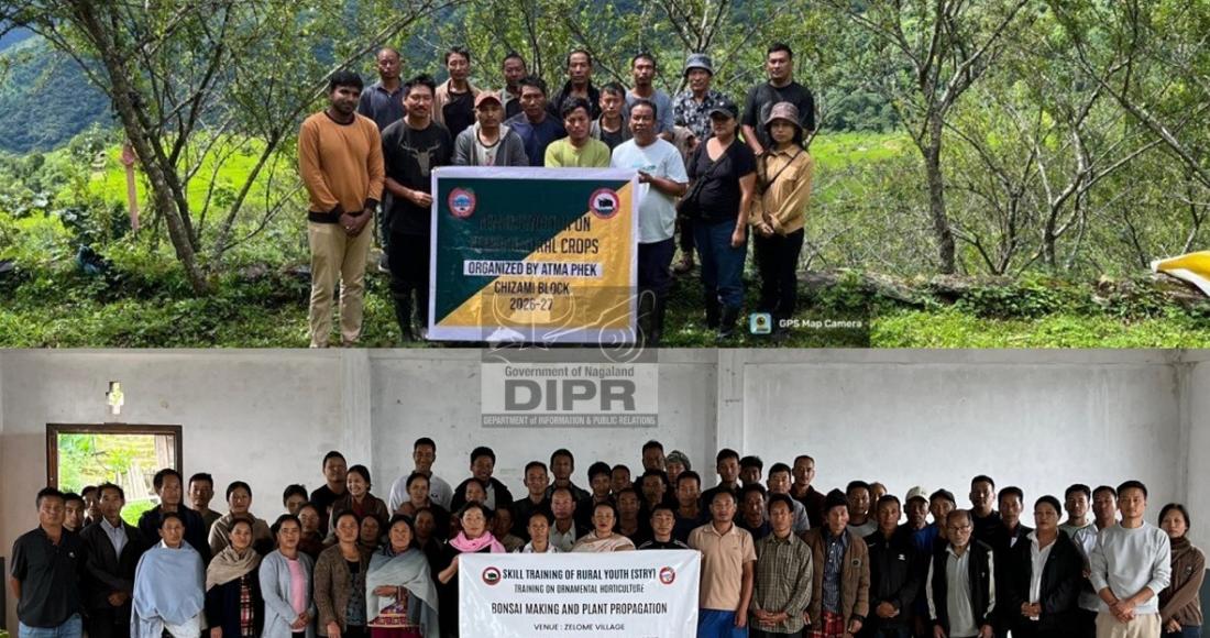 SKILL TRAINING FOR RURAL YOUTH HELD AT PHEK DISTRICT