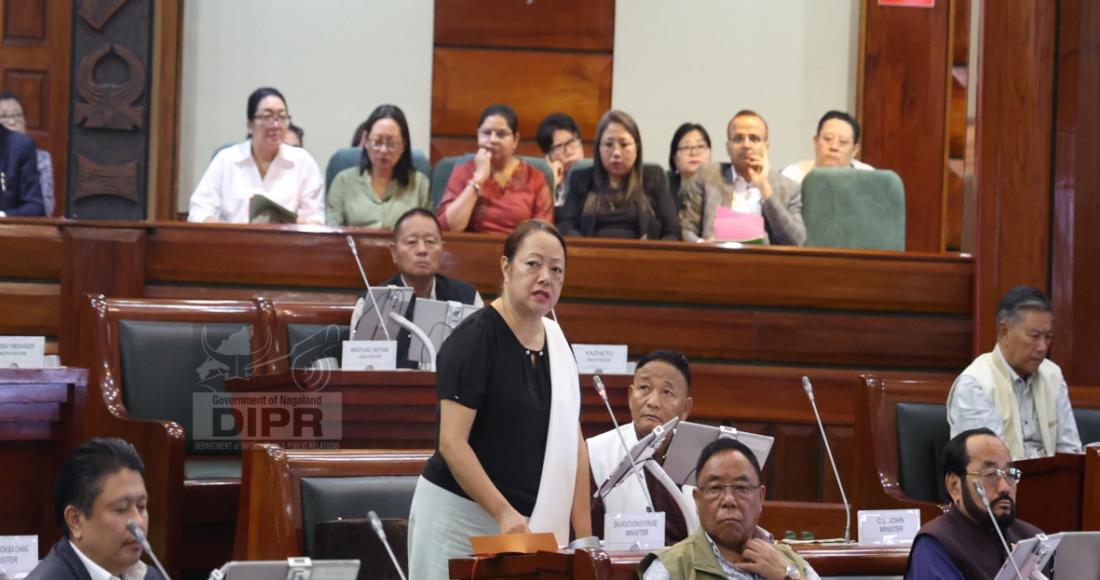 STARRED AND SUPPLEMENTARY QUESTIONS RAISED BY MEMBERS OF NLA