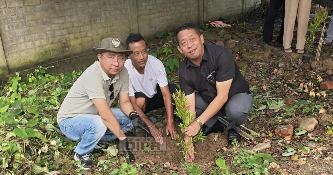 DC Niuland, T.L kiusumong, along with Town councillors, NTC planted trees